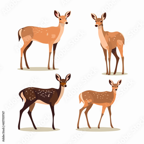 Detailed deer illustrations featuring different poses  perfect for nature-inspired projects.