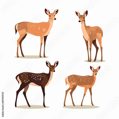 Detailed deer illustrations featuring different poses, perfect for nature-inspired projects.