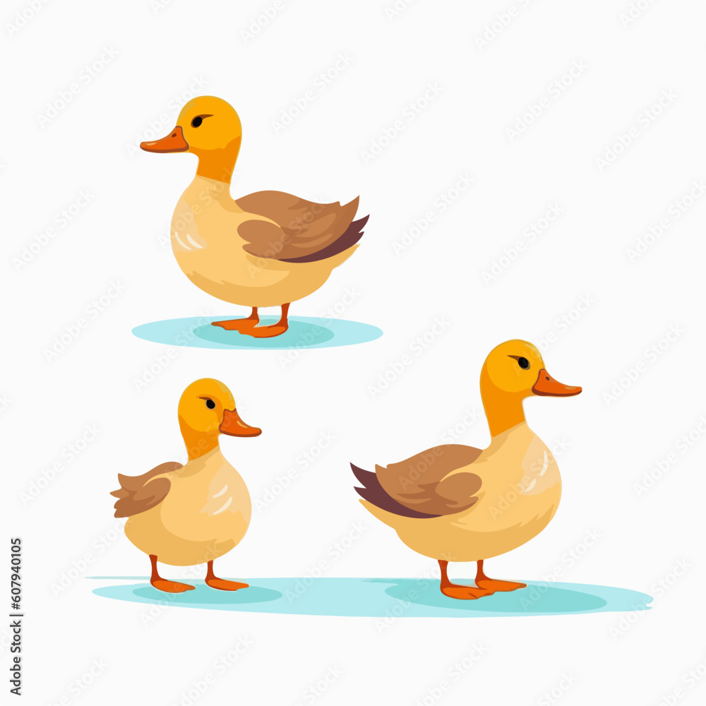 Vector illustrations of ducks featuring a range of expressive postures.