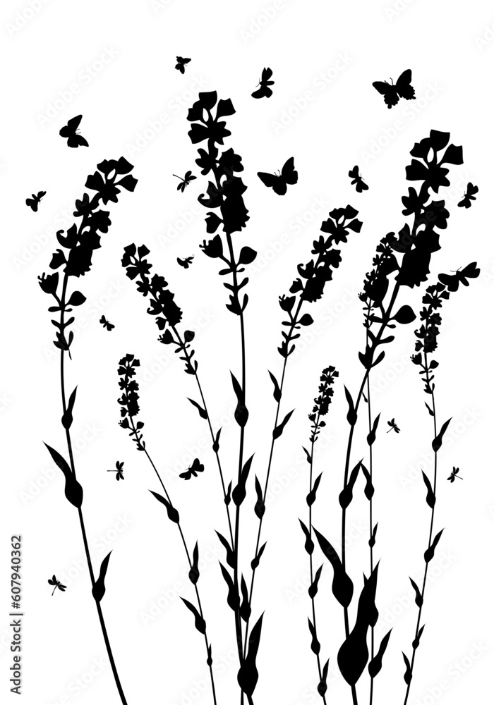 Fototapeta premium Vector grass silhouettes background. All objects are separated.