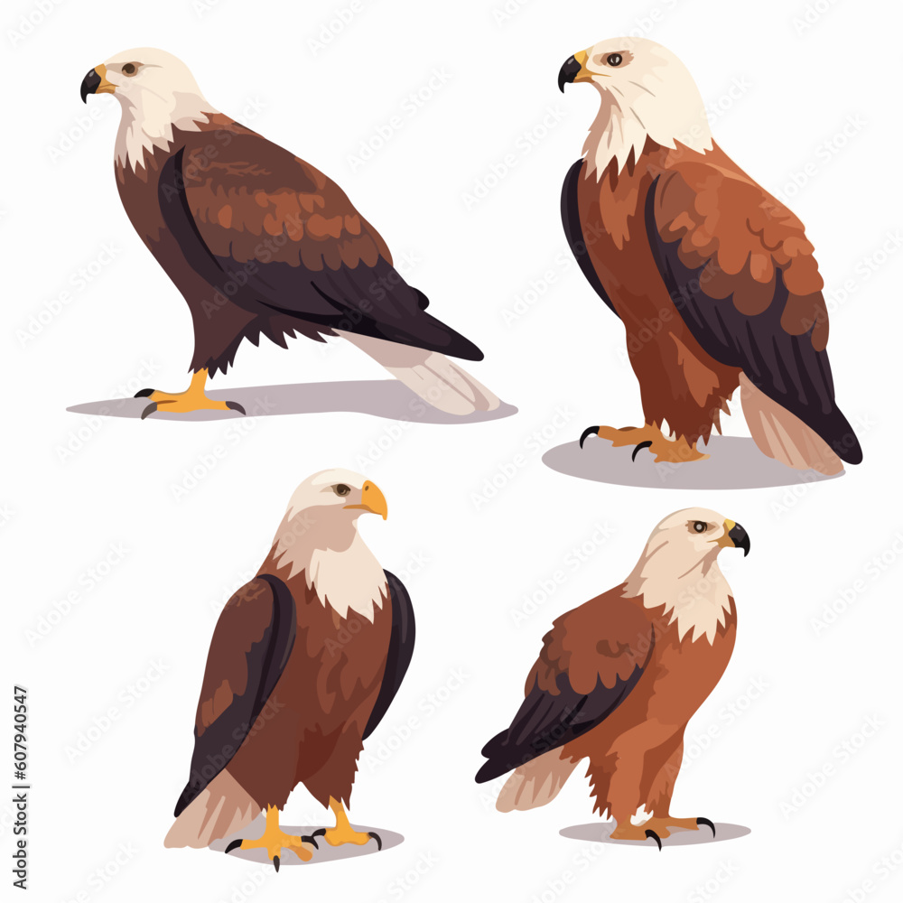 Bold and majestic eagle illustrations in a variety of sizes and positions. Bold and majestic eagle illustrations in a variety of sizes and positions.