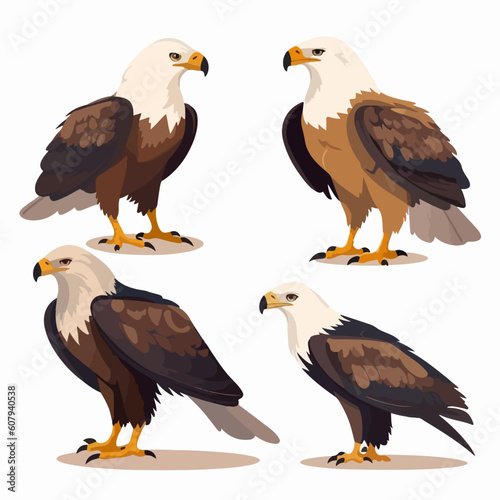 Detailed eagle illustrations in vector format for nature-inspired projects.