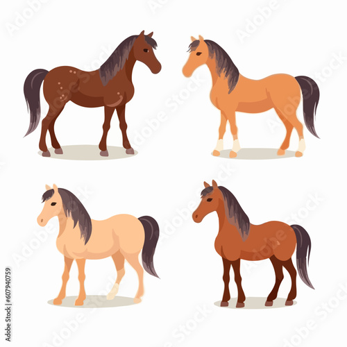 Adaptable horse illustrations in various positions  perfect for educational materials.