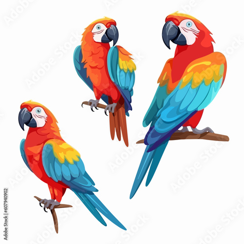 Whimsical macaw illustrations showcasing a range of vibrant positions.