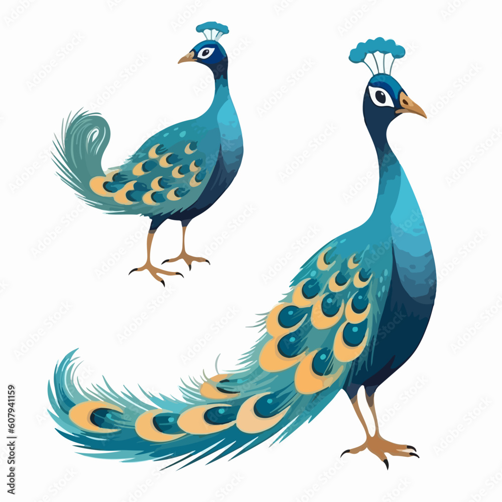 Obraz premium Dynamic peacock illustrations displaying their magnificent plumage.