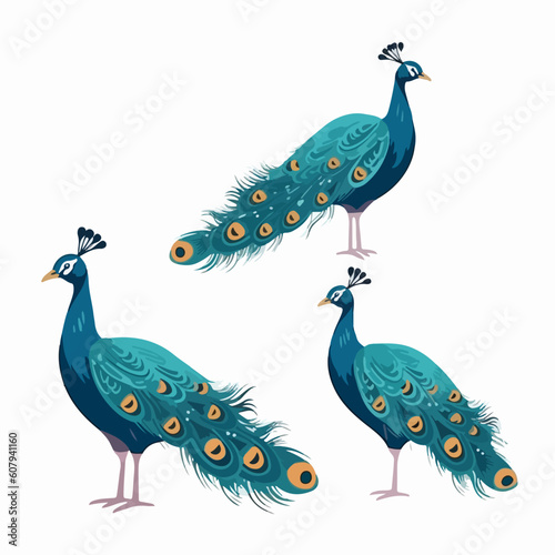 Vector peacock illustrations capturing their vibrant beauty.