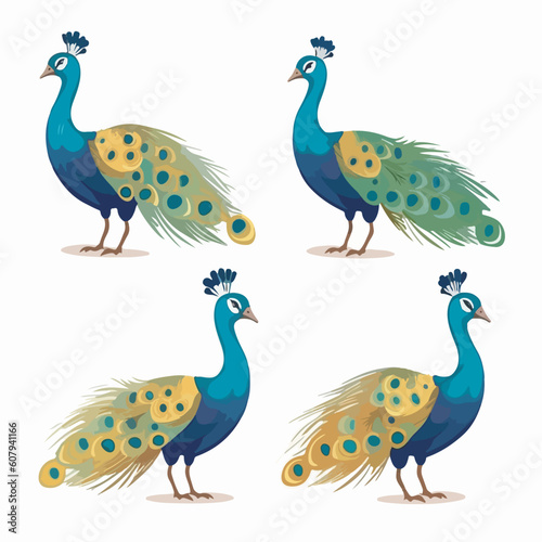 Creative peacock illustrations showcasing their elaborate feathers.