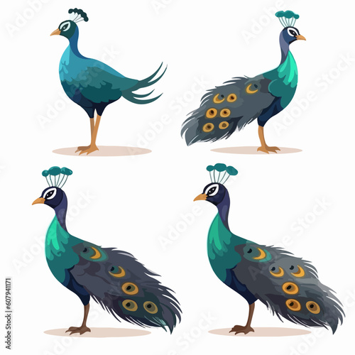 Whimsical peacock illustrations in vector format, adding character to any project.