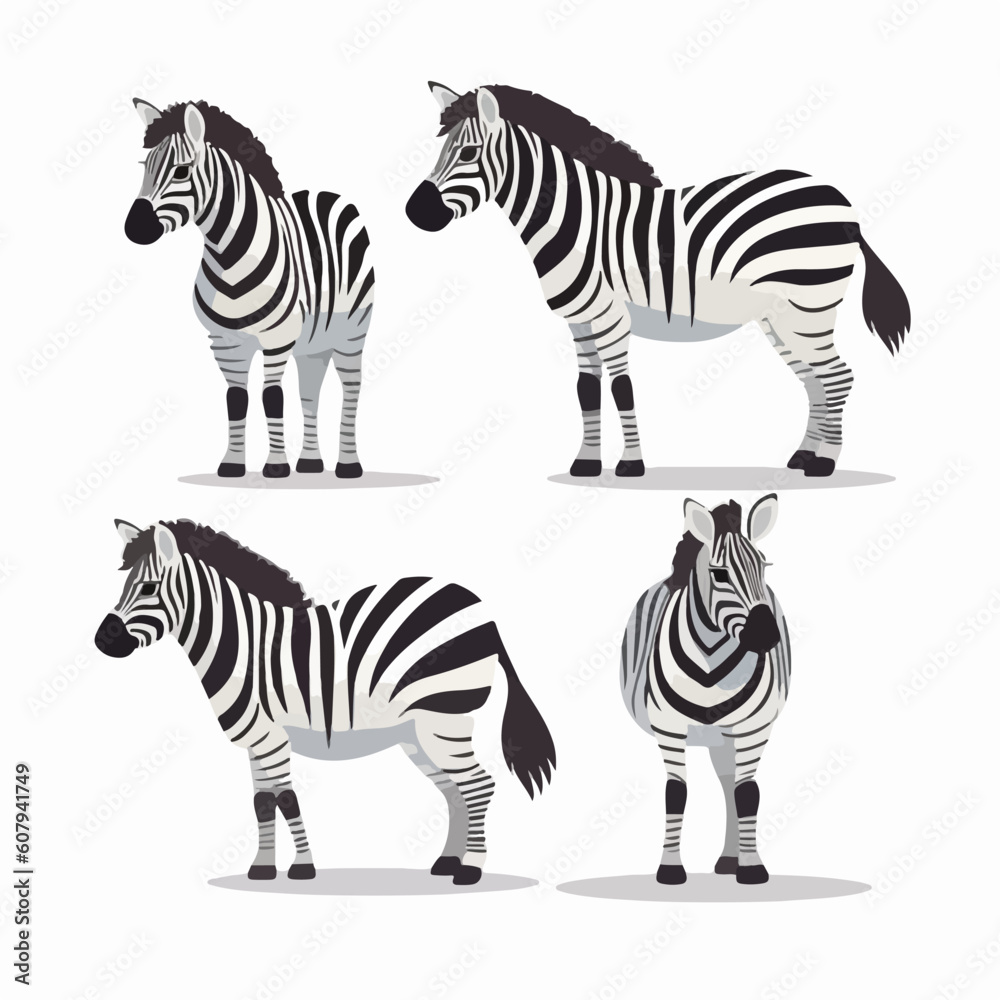 Fototapeta premium Striking zebra illustrations in various poses, perfect for safari-themed designs.