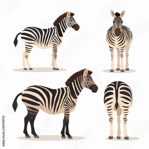 Captivating zebra illustrations in vector format  perfect for print materials.