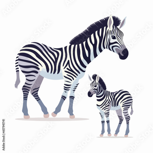 Elegant zebra illustrations showcasing a range of graceful positions.