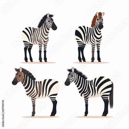 Intriguing zebra illustrations in vector format  suitable for prints.