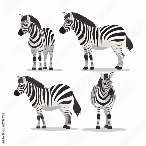 Striking zebra illustrations in various poses  perfect for safari-themed designs.