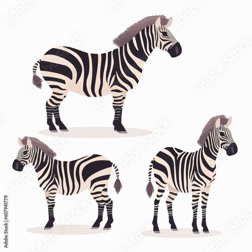 Striking zebra illustrations in vector format  adding impact to any project.