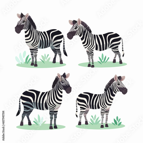 Versatile zebra illustrations that can be used for a variety of applications.
