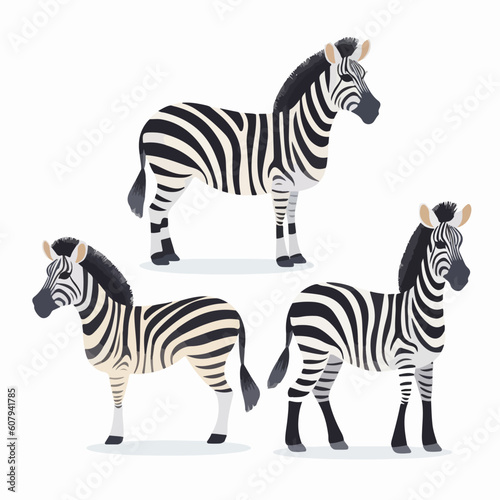Majestic zebra illustrations in various stances  perfect for wildlife-themed designs.