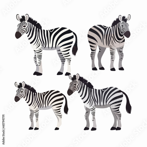 Intricate zebra illustrations  a great addition to animal conservation campaigns.