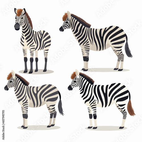 Harmonious zebra illustrations  symbolizing balance and unity.