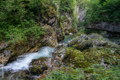Vintgar gorge amazing cayon with river  rocks and nature  wooden foodpaths leads through wild natural reserve