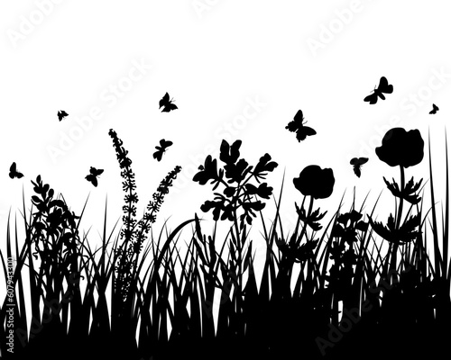 Vector grass silhouettes background. All objects are separated. © Designpics