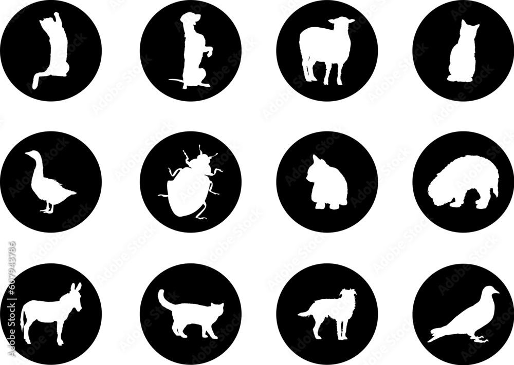 Animals. Set of 12 round vector buttons for web Animals. Set of 12 round vector buttons for web