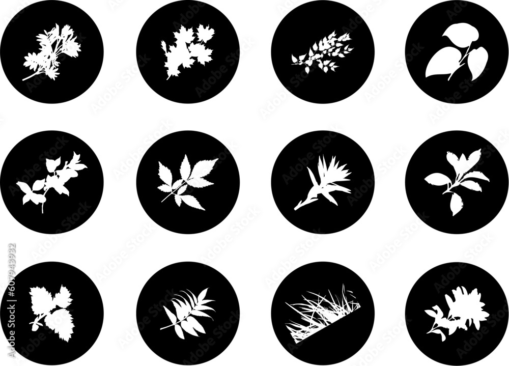 The set from silhouettes of leaves, is presented in the form of 12 buttons.