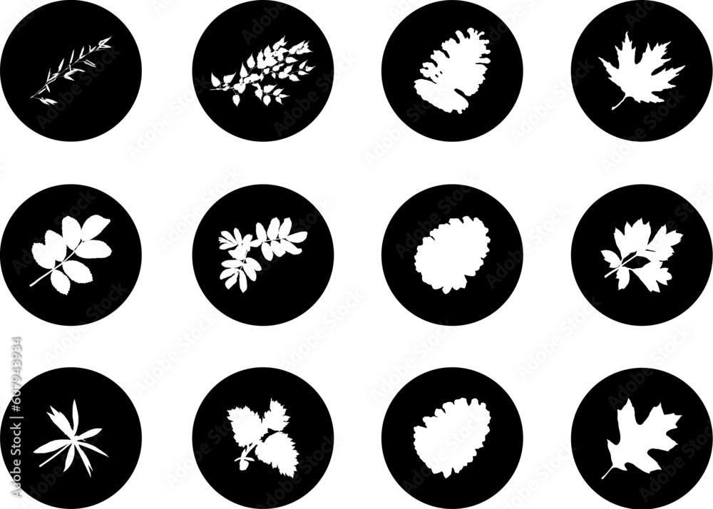 The set from silhouettes of leaves, is presented in the form of 12 buttons. The set from silhouettes of leaves, is presented in the form of 12 buttons.