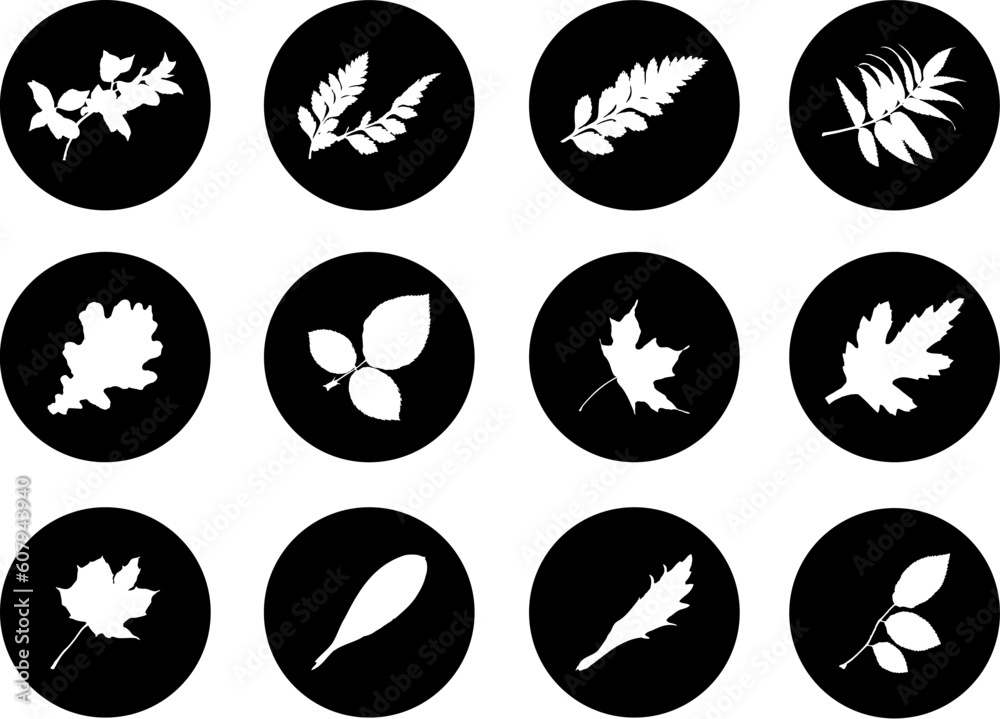 The set from silhouettes of leaves, is presented in the form of 12 buttons. The set from silhouettes of leaves, is presented in the form of 12 buttons.