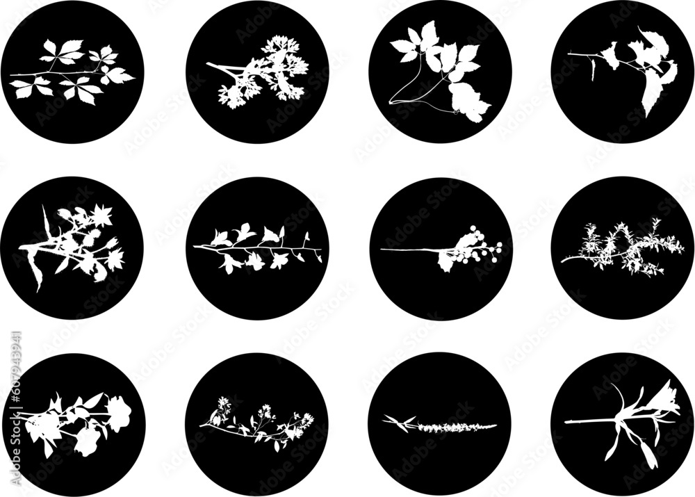 The set from silhouettes of leaves, is presented in the form of 12 buttons. The set from silhouettes of leaves, is presented in the form of 12 buttons.