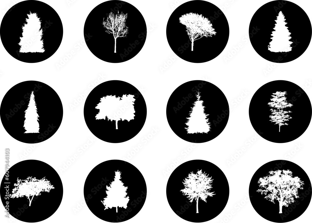 Silhouette a tree. Similar images can be found in my gallery. Silhouette a tree. Similar images can be found in my gallery.