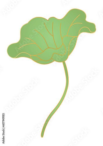 Lotus leaf in oriental style. Chinese and japanese traditional illustration.