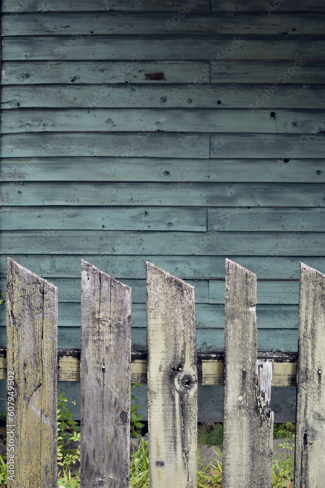 Fototapeta premium Country green weathered house fence and yard