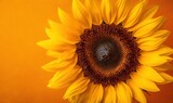  a large sunflower is shown against a bright orange background.  generative ai