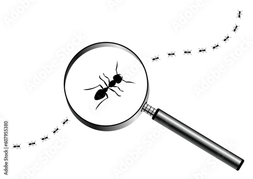 Magnifying glass with marching ants over white background
