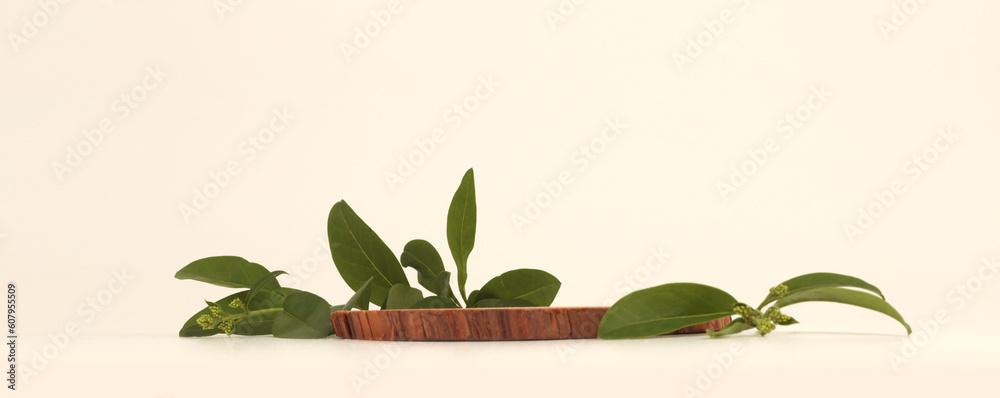 Wooden eco rustic wood platform podium on light horizontal background. Minimal empty display product presentation scene. Wooden eco rustic wood platform podium on light horizontal background. Minimal empty display product presentation scene.