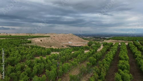 fruit trees on a countryside cliff