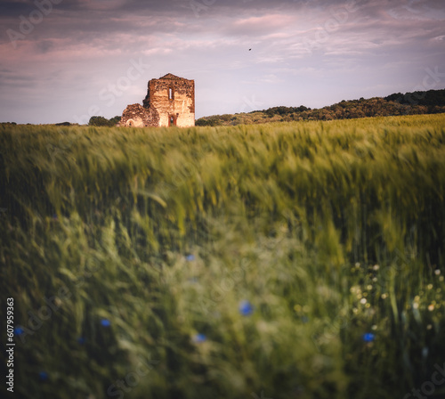 Medieval ruins of a temple ...