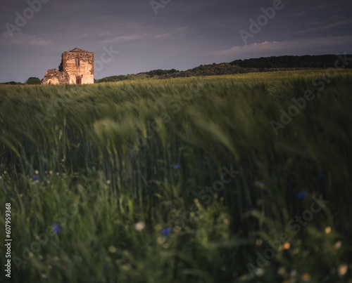 Medieval ruins of a temple at Taliándörögd, Hungary