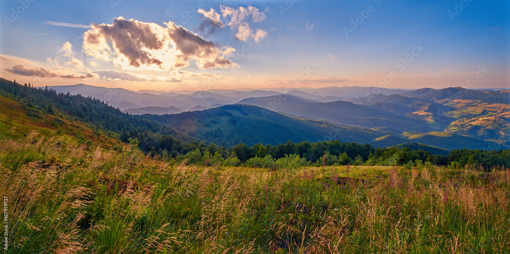 Mountain landscape on a summer evening. Green meadows of the Ukrainian Carpathians