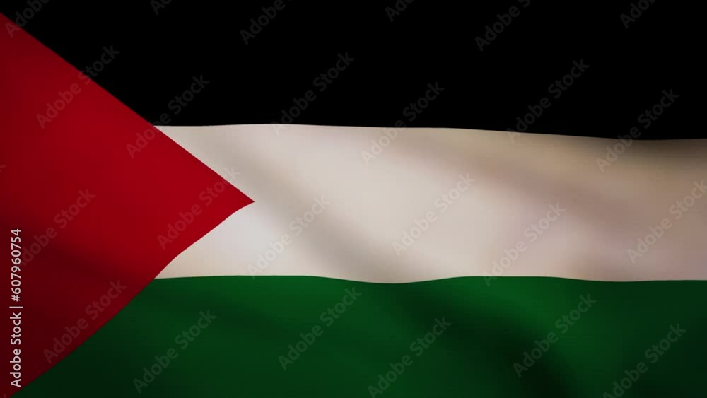 Palestine waving flag animation Palestine waving flag animation