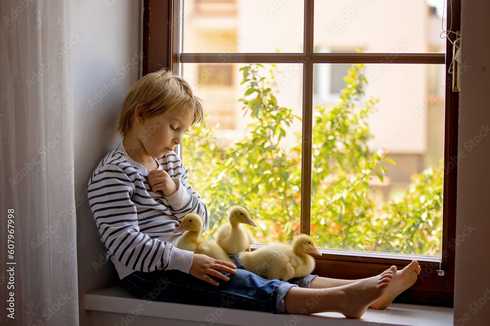 Beautiful preschool boy, playing with little ducks on the window at home Beautiful preschool boy, playing with little ducks on the window at home