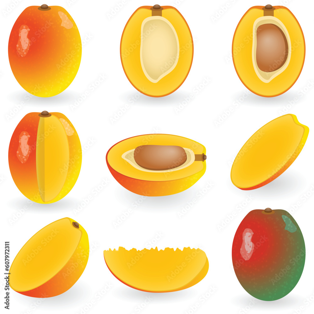 Vector illustration of mango Vector illustration of mango