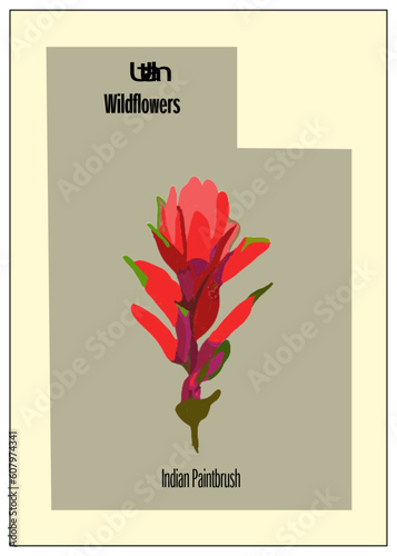 Utah Wildflowers: Indian Paintbrush