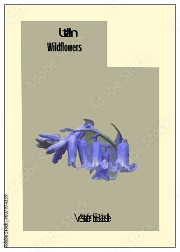 Utah Wildflowers: Western Bluebell