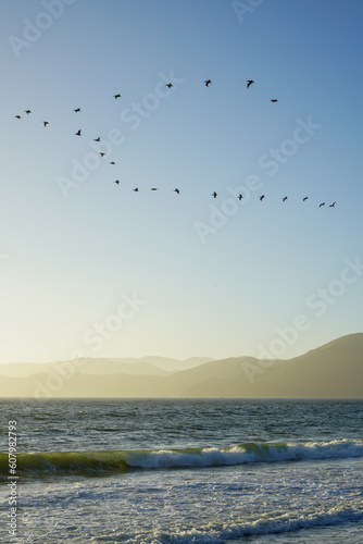 Watching the birds at Baker Beach in San Francisco, CA