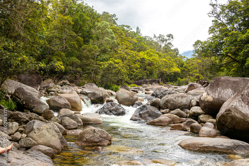 flowing rocky river in forest