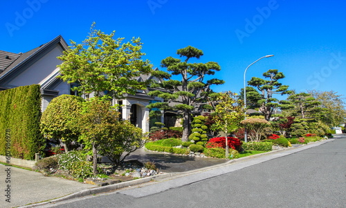 Residential District in Richmond City, houses, chinese trees and garden at the front of houses
