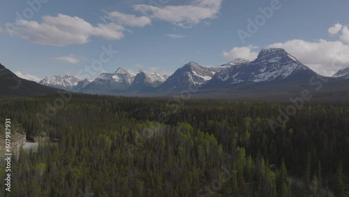 The green of the pines contrasts with the blue sky behind Canadian Rockies