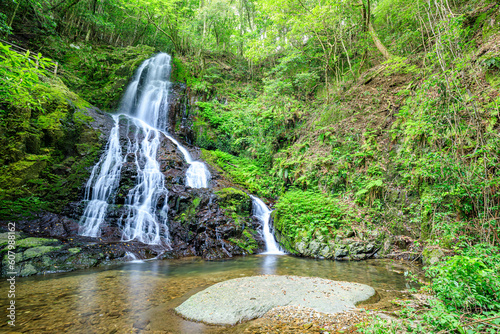 初夏の秋芳白糸の滝　山口県美祢市　Akiyoshi Shiraito Falls in early summer. Yamaguchi Pref, Mine City. photo