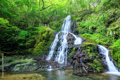                                                    Akiyoshi Shiraito Falls in early summer. Yamaguchi Pref  Mine City.